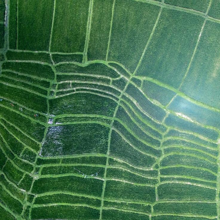 Family terraces and cafés for calm evenings in Brighton